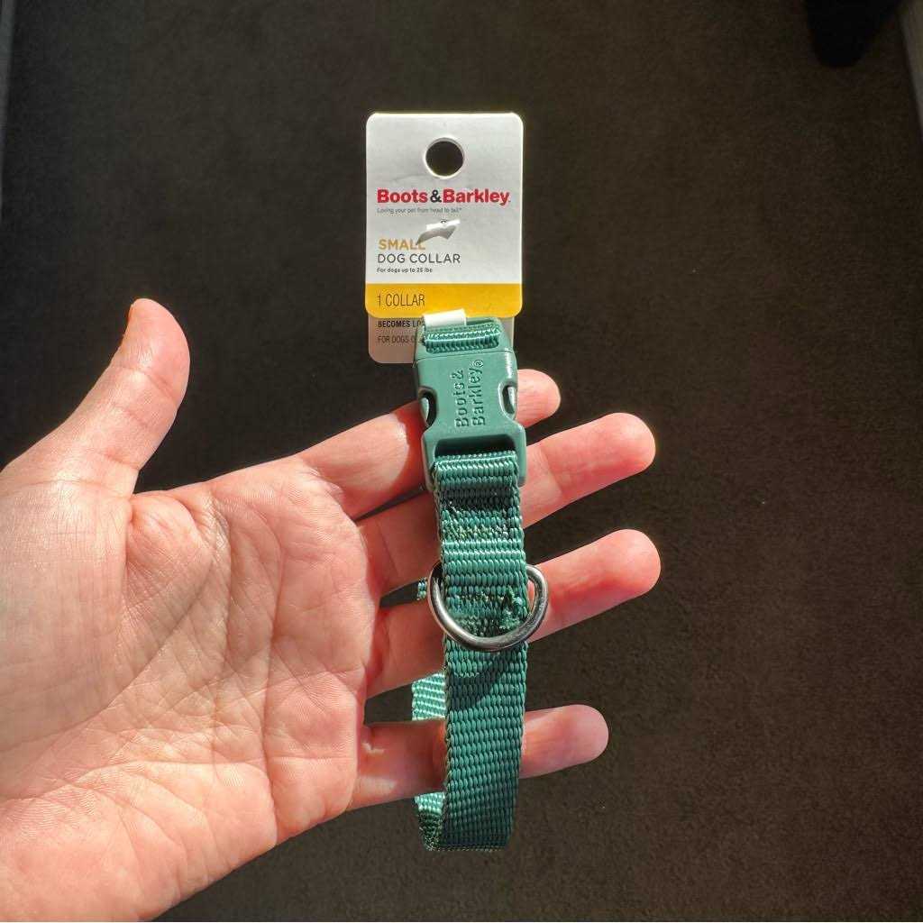 Basic Dog Collar W6683