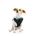 Black Front Walking Dog Harness H4874