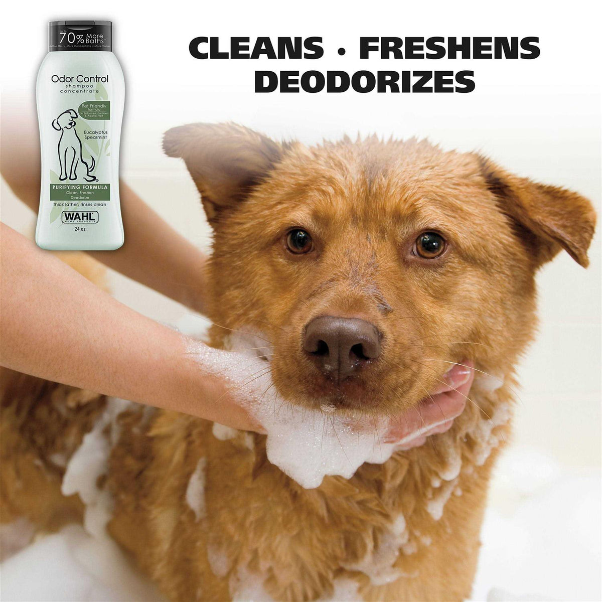 Odor Control Shampoo K65427