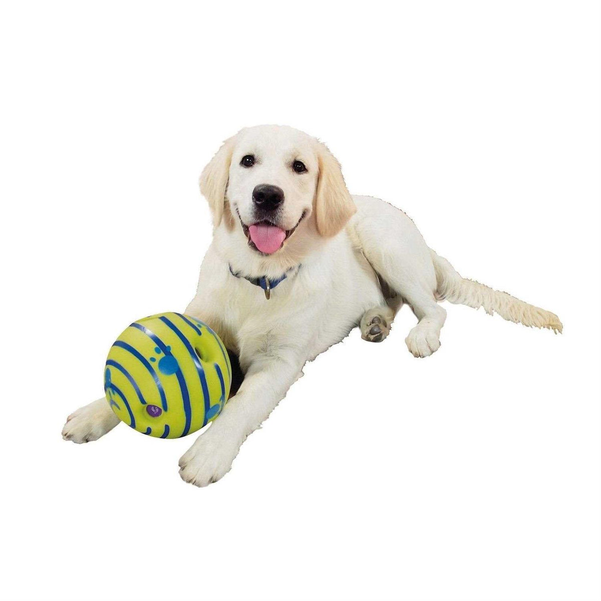 Dog Toy D17929
