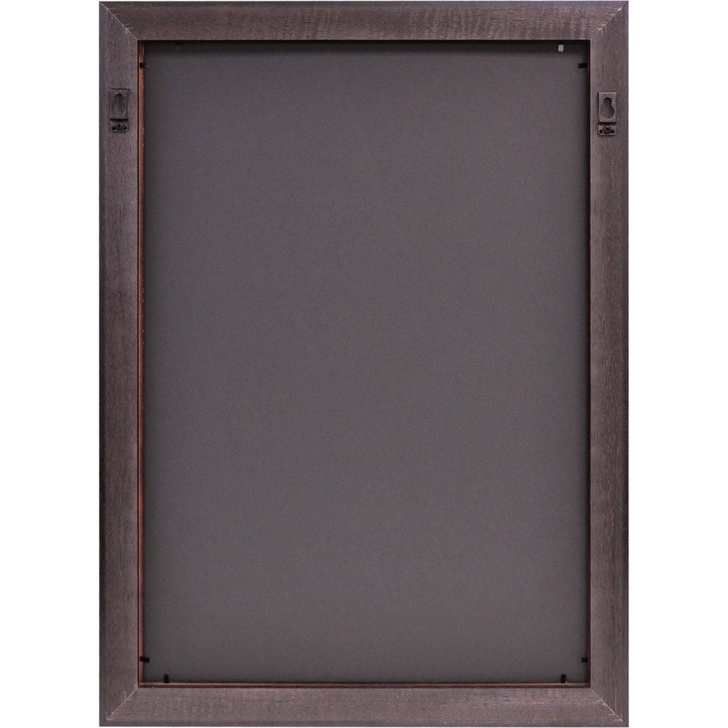 Gold Embossed Diploma Frame with Campus Images Lithograph A150