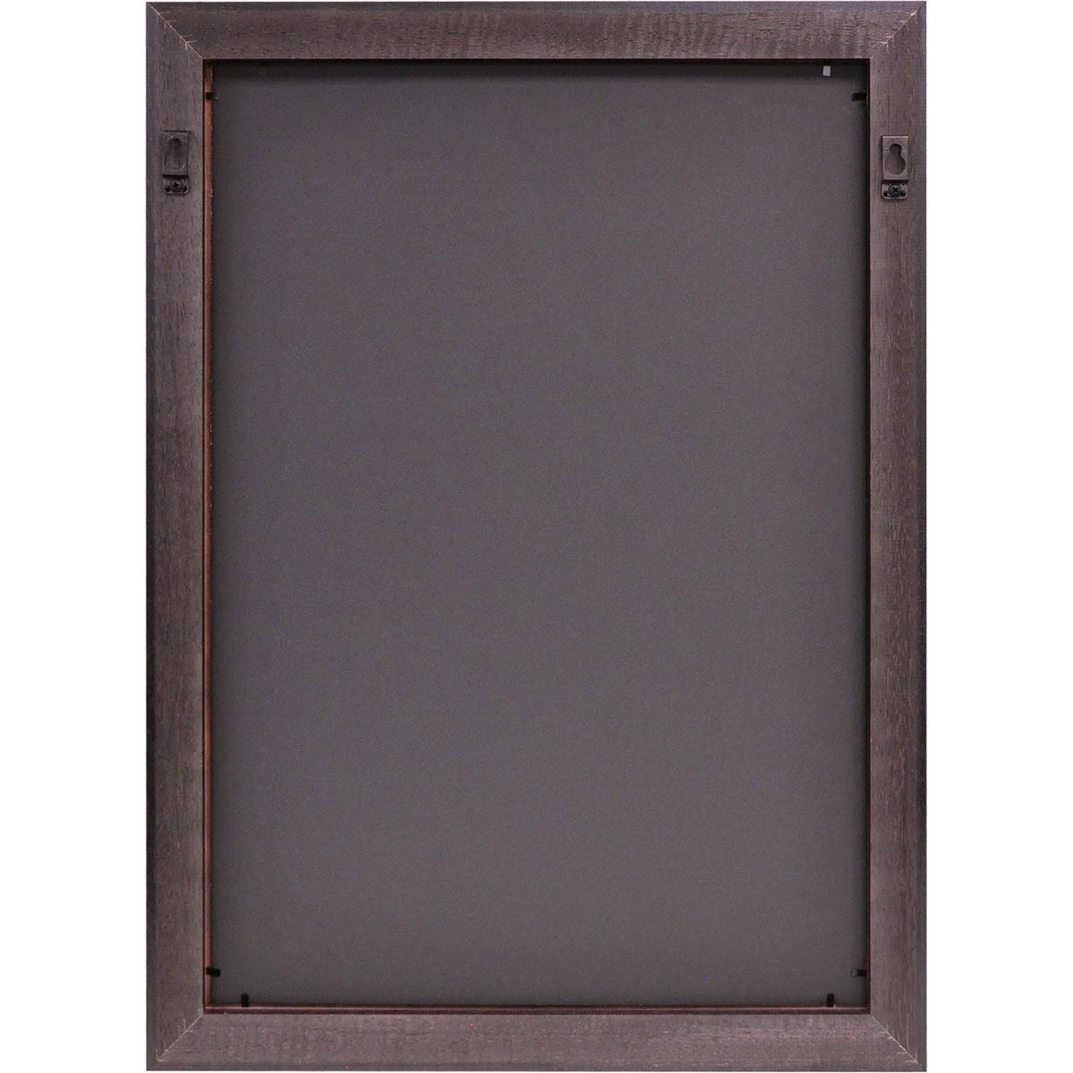 Gold Embossed Diploma Frame with Campus Images Lithograph A150