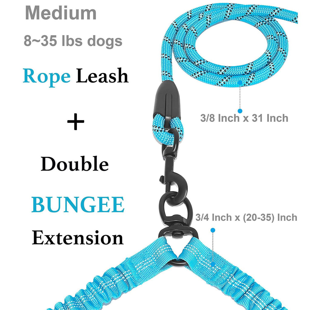 Double Dog Leash 360 Swivel No Tangle L730