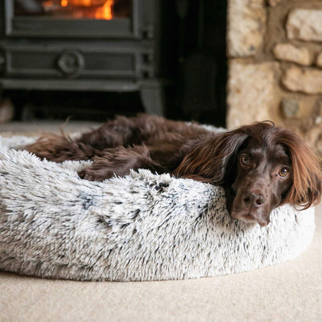 Calming Dog Bed R19910