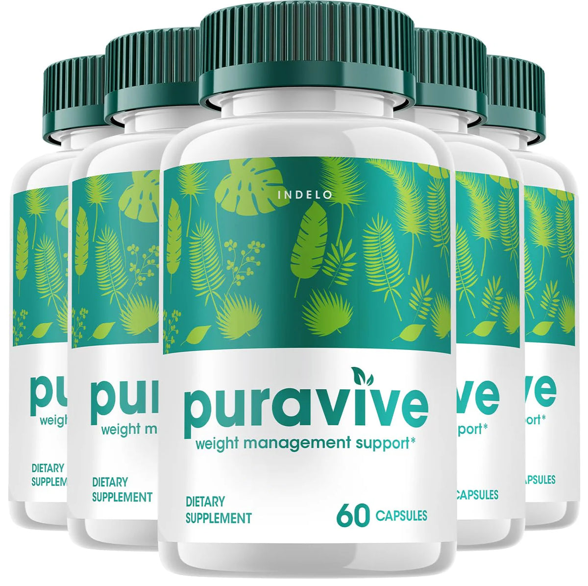 Weight Loss Capsules 300 Capsules R343509