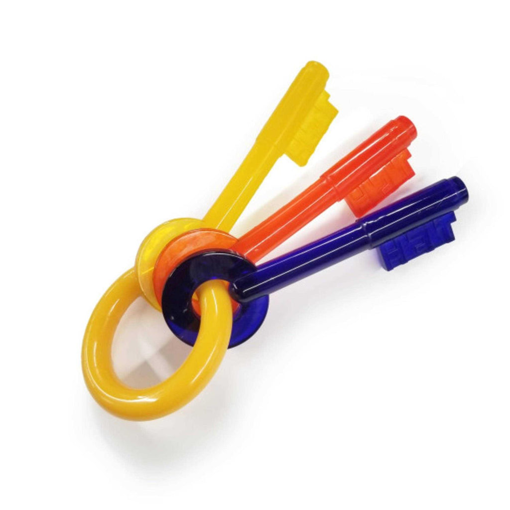 Puppy Chew Teething Keys D300