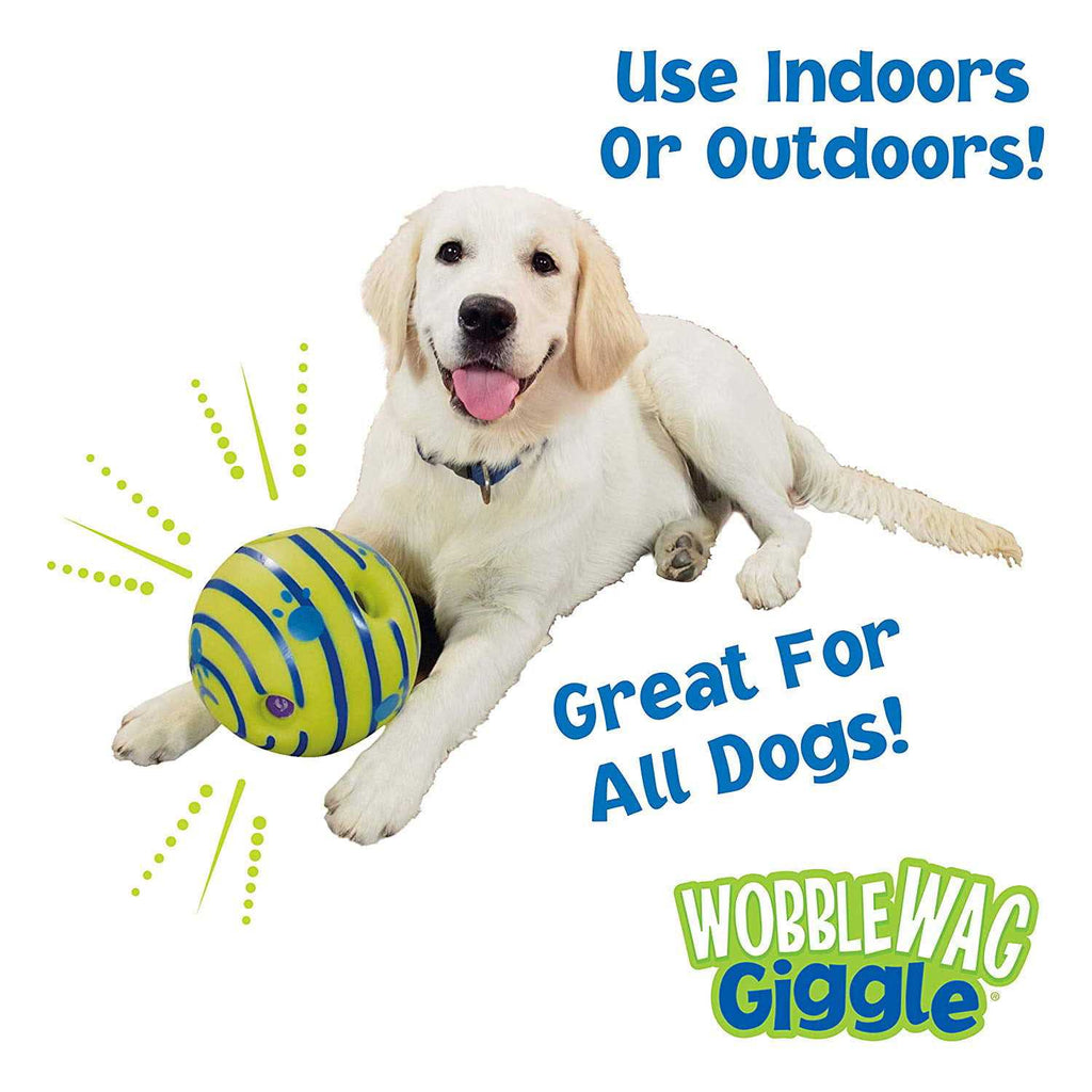 Dog Toy D17929