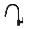Kitchen Faucet J76477